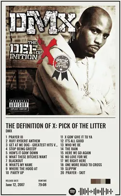 DMX - The Definition Of X Pick Of The Litter.jpg